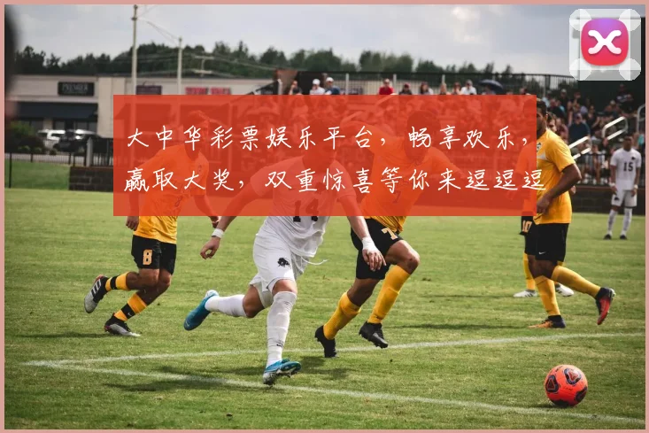 大中华彩票娱乐平台，畅享欢乐，赢取大奖，双重惊喜等你来逗逗逗